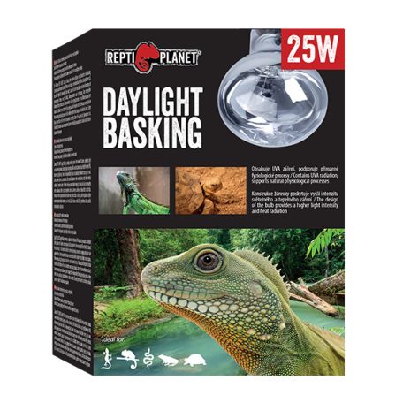 Repti Planet Daylight Basking Spot | Nappali sütkérező izzó - 25 W