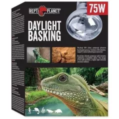   Repti Planet Daylight Basking Spot | Nappali sütkérező izzó - 75 W