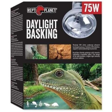 Repti Planet Daylight Basking Spot | Nappali sütkérező izzó - 75 W