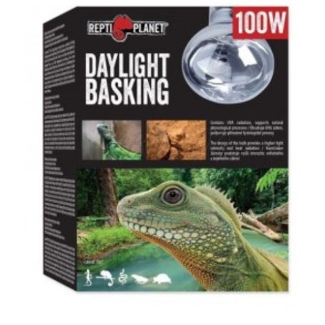 Repti Planet Daylight Basking Spot | Nappali sütkérező izzó - 100 W