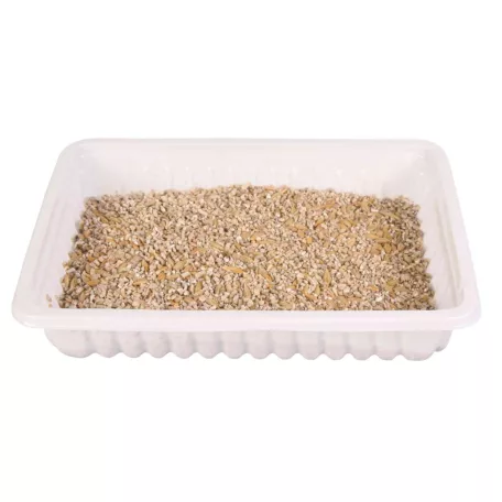 Trixie | Soft Cat Grass | BIO vitaminozott macskafű