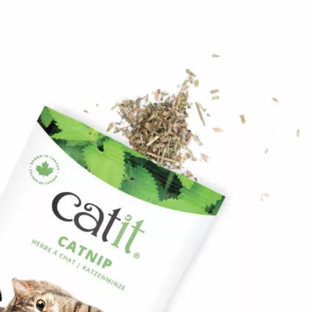 Catit | Catnip | Jutalomfalat | Macskamenta - 28 g