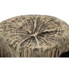 Ceramic Nature | Fa rönk - S