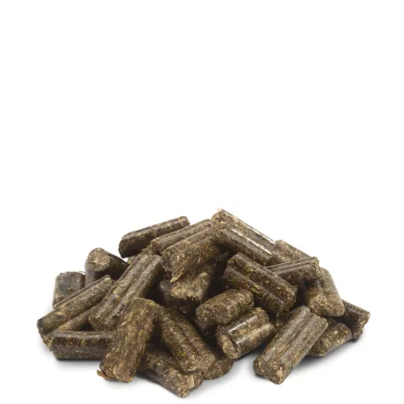 Versele Laga Crispy Pellets Rabbits | Teljes értékű peletteleség nyulaknak – 2 kg