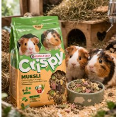   Versele-Laga Crispy Muesli Guinea Pig | Extra C-vitaminnal dúsított müzli keverék tengerimalacok számára – 850 g
