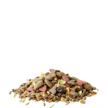 Versele-Laga Crispy Muesli Guinea Pig | Müzli eleség tengerimalacok részére – 20 kg