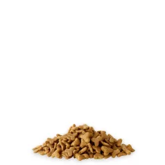   Versele-Laga | Crispy Extruded Pellets Ferret | Teljes értékű extrudált táp vadászgörények számára – 1,75 kg