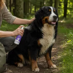   PetMed | Kullancs Védőspray | Természetes illóolajos kullancs- és rovarriasztó spray kutyák, macskák és lovak részére – 100 ml