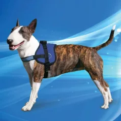  Aqua Coolkeeper | Survival hűtőhám kutyáknak – L méret (69-95 cm)