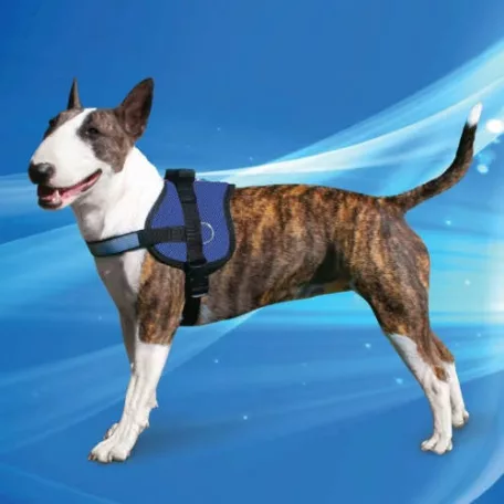 Aqua Coolkeeper | Survival hűtőhám kutyáknak – L méret (69-95 cm)