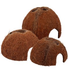   Repti Planet Coco Shell | Kókuszhéj bújóka terráriumi állatoknak - M