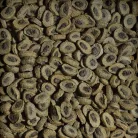 Sera | Tortoise Adult Herbivore Duo Pellets | Prémium eledel szárazföldi teknősök számára – 250 ml / 80 g