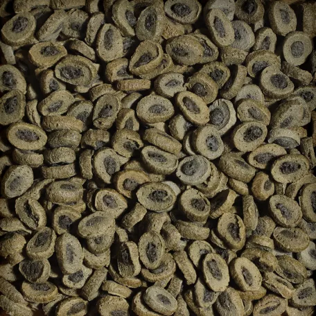 Sera | Tortoise Adult Herbivore Duo Pellets | Prémium eledel szárazföldi teknősök számára – 1000 ml / 330 g