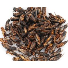   Trópus | Dried Cricket, szárított tücsök | Kiegészítő eleség rágcsálók,madarak, sünik és hüllők részére - 40g