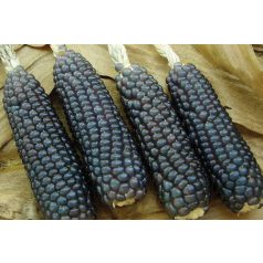 Trópus | Csöves kék kuorica rágcsálóknak - 320 g