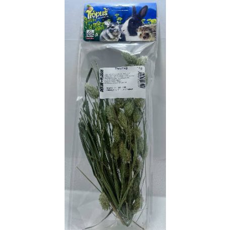 Trópus Fénymag Szálas | Természetes eledel – 14 g