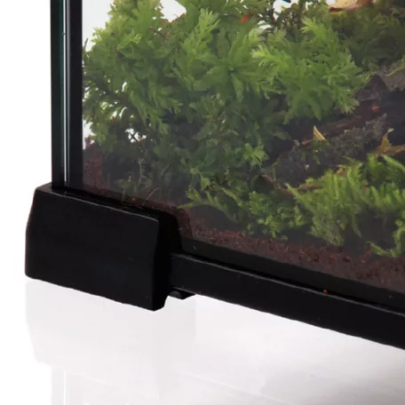 Repti Planet Mini Glass Reptile Habitat | Paludárium - 20 x 20 x 20 cm