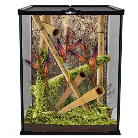 Repti Planet Mini Glass Reptile Habitat | Paludárium - 20 x 20 x 30 cm