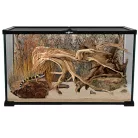 Repti Planet Mini Glass Reptile Habitat | Paludárium - 50.5 x 30.5 x 25 cm
