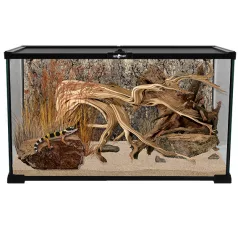   Repti Planet Mini Glass Reptile Habitat | Paludárium - 50.5 x 30.5 x 25 cm