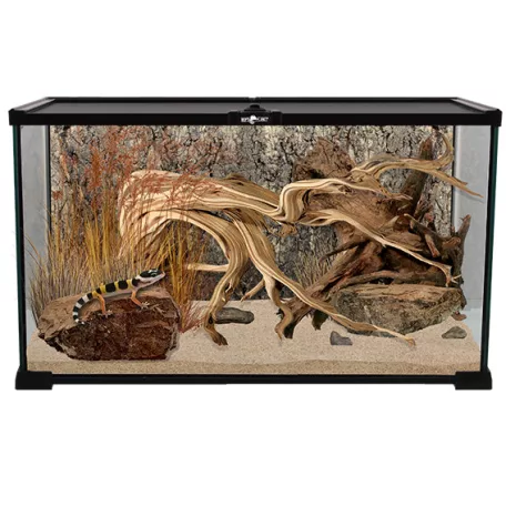 Repti Planet Mini Glass Reptile Habitat | Paludárium - 50.5 x 30.5 x 25 cm