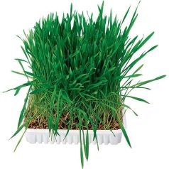   Trixie Small Animal Grass | Kiegészítő eledel rágcsálóknak | Fű - 100 g