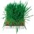 Trixie Small Animal Grass | Kiegészítő eledel rágcsálóknak | Fű - 100 g