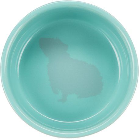 Trixie Ceramic Bowl | Kerámia tál (színes) rágcsálók részére - 250 ml / 11 cm