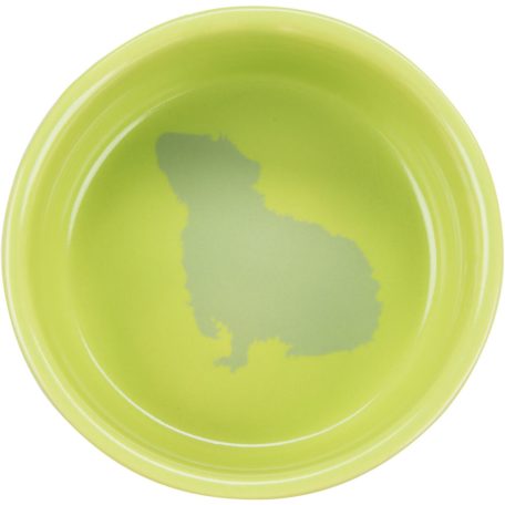 Trixie Ceramic Bowl | Kerámia tál (színes) rágcsálók részére - 250 ml / 11 cm