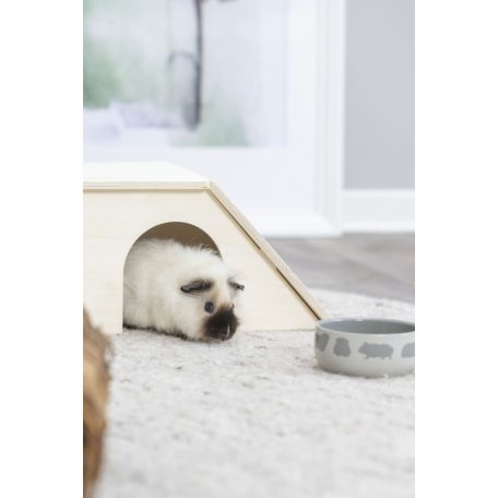 Trixie Ceramic Bowl | Kerámia tál (színes) rágcsálók részére - 250 ml / 11 cm