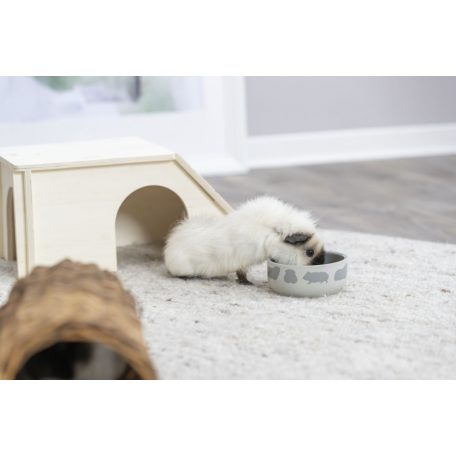 Trixie Ceramic Bowl | Kerámia tál (színes) rágcsálók részére - 250 ml / 11 cm