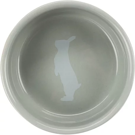 Trixie Ceramic Bowl | Kerámia tál (színes) rágcsáló részére - 250 ml / 11 cm