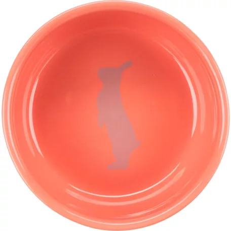 Trixie Ceramic Bowl | Kerámia tál (színes) rágcsáló részére - 250 ml / 11 cm