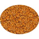 Haquoss | Gammarus | Szárított bolharák víziteknősöknek - 1000 ml