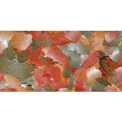   Haquoss | Color Plus Flakes | Teljes értékű lemezes táp édesvízi halaknak - 250 ml