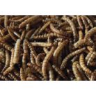 Haquoss | MEALWORMS GOURMET| Szárított lisztkukac - 100 ml