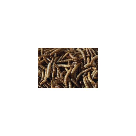 Haquoss | MEALWORMS GOURMET| Szárított lisztkukac - 250 ml