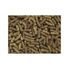   Haquoss | Bearded Dragon Omnivore Diet | Szakállas agáma táp - 250 ml