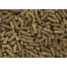 Haquoss | Bearded Dragon Omnivore Diet | Szakállas agáma táp  - 1000 ml