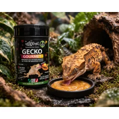   Haquoss | Gecko Gourmet Mango & Papaya | Mangó és papaya táp gekkók számára - 250 ml