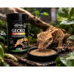   Haquoss | Gecko Gourmet Banana & Ananas | Banán és ananász táp gekkók számára - 250 ml