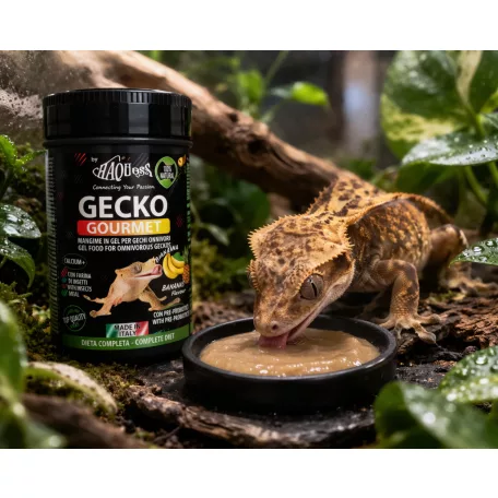 Haquoss | Gecko Gourmet Banana & Ananas | Banán és ananász táp gekkók számára - 250 ml