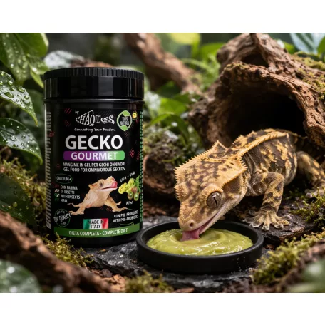 Haquoss | Gecko Gourmet Grape & Kiwi | Szőlő és kiwi táp gekkók számára - 250 ml