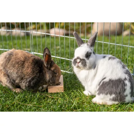 Trixie Snack Box | Kezeletlen fa készségfejlesztő és intelligenciajáték rágcsálók és kisemlősök számára – 14 × 3 × 7 cm