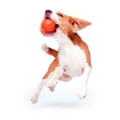   LIKER 7 Line | Játék (narancssárga) kutyák részére - 7 cm