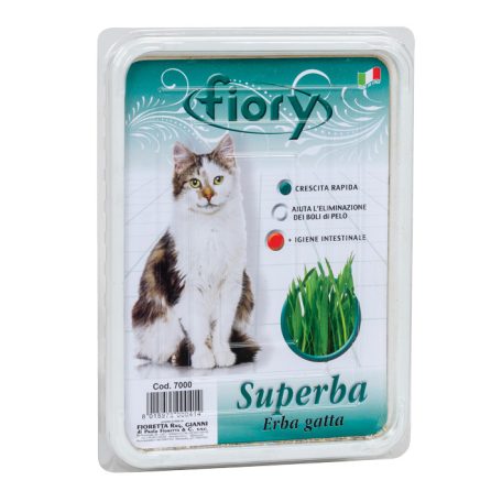 Fiory | Superba (grass for cats) - Fű macskáknak