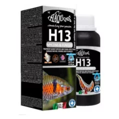  Haquoss | H13 Mycosis | Folyékony készítmény gombás fertőzések kezelésére édesvízi és tengeri díszhalaknál – 100 ml