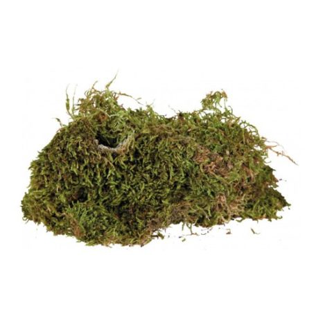 Trixie Terrarium Moss | Erdei moha - 200 g
