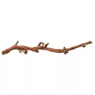 Trixie Szőlőinda "L" | Természetes dekoráció és mászófelület terráriumba – 40–60 cm