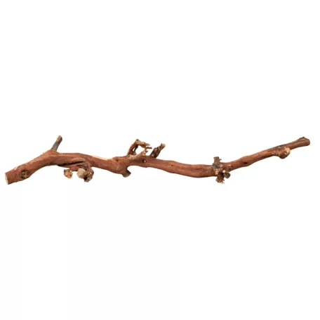 Trixie Szőlőinda "L" | Természetes dekoráció és mászófelület terráriumba – 40–60 cm